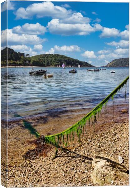 Serenity at Salcombe Canvas Print by Roger Mechan