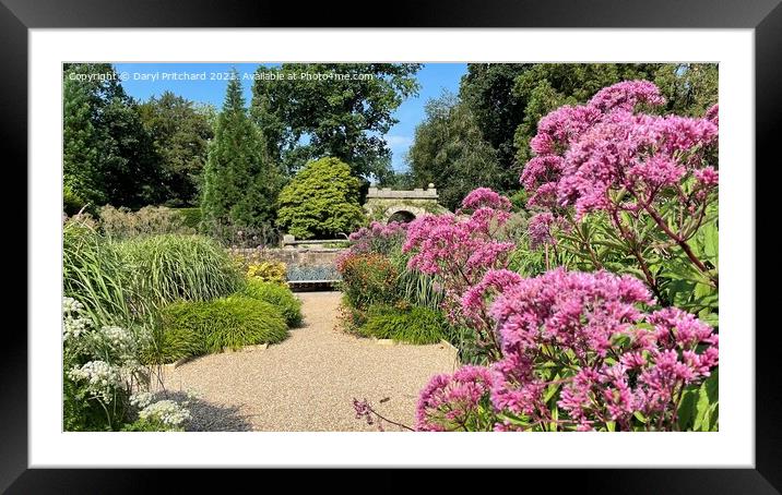 Gardens at chatsworth Framed Mounted Print by Daryl Pritchard videos