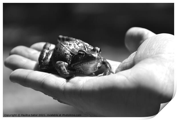 Kiss me. The frog prince Print by Paulina Sator