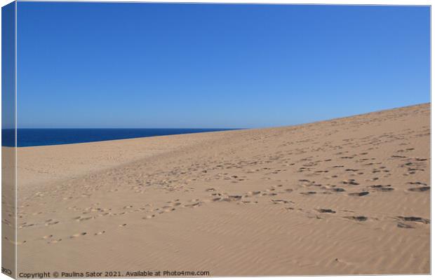 Parque Natural de Corralejo, Fuerteventura Canvas Print by Paulina Sator