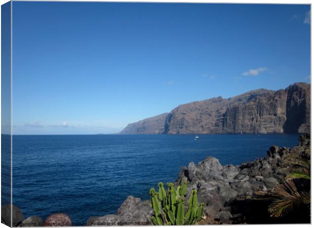 Los Gigantes cliffs, Tenerife Canvas Print by Paulina Sator