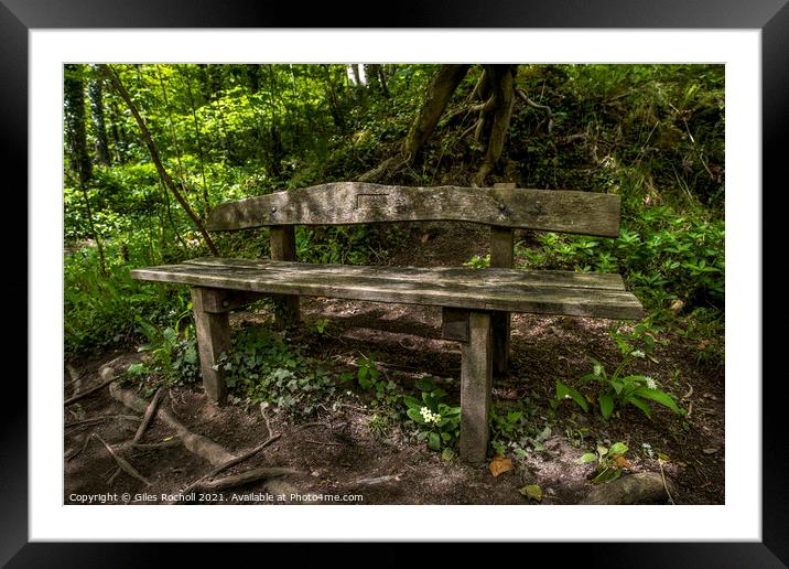 Woodland bench seat Framed Mounted Print by Giles Rocholl