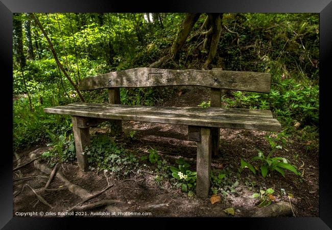 Woodland bench seat Framed Print by Giles Rocholl