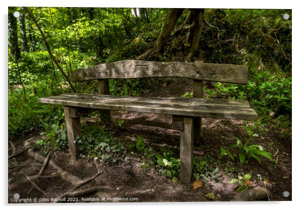 Woodland bench seat Acrylic by Giles Rocholl