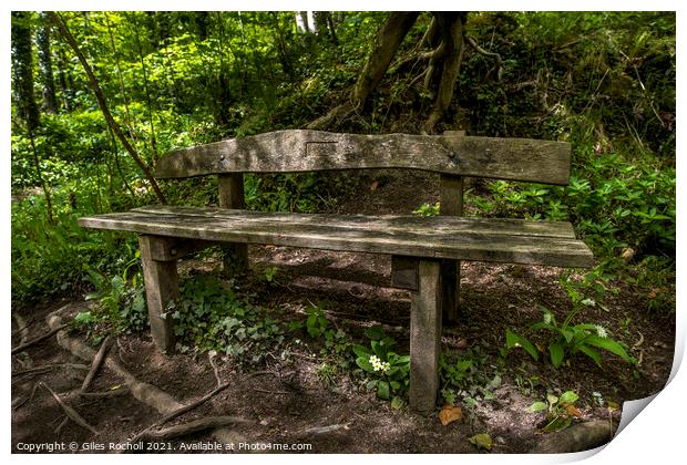 Woodland bench seat Print by Giles Rocholl