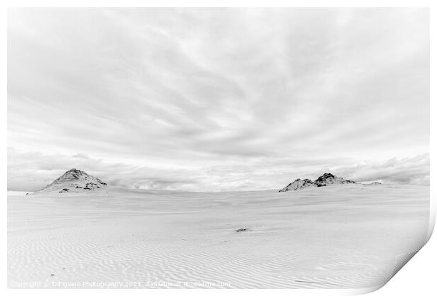 Slowinski Sand Dunes Print by DiFigiano Photography