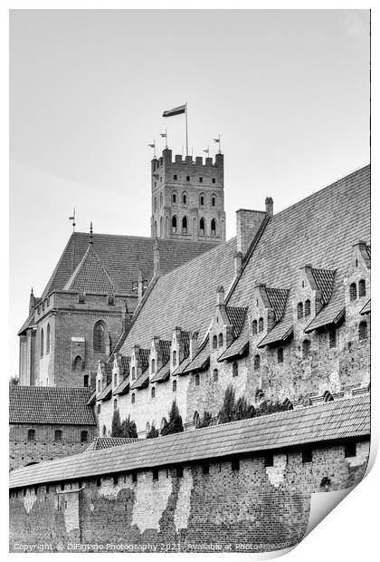 Malbork Castle Print by DiFigiano Photography