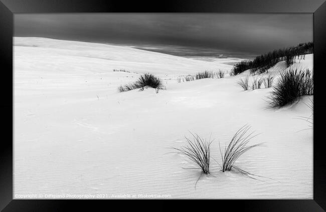 White Sands of Leba Framed Print by DiFigiano Photography