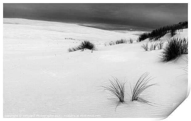 White Sands of Leba Print by DiFigiano Photography