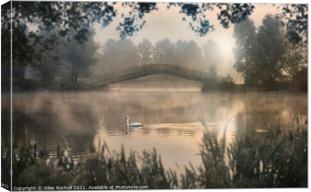 Swan lake Yorkshire Canvas Print by Giles Rocholl