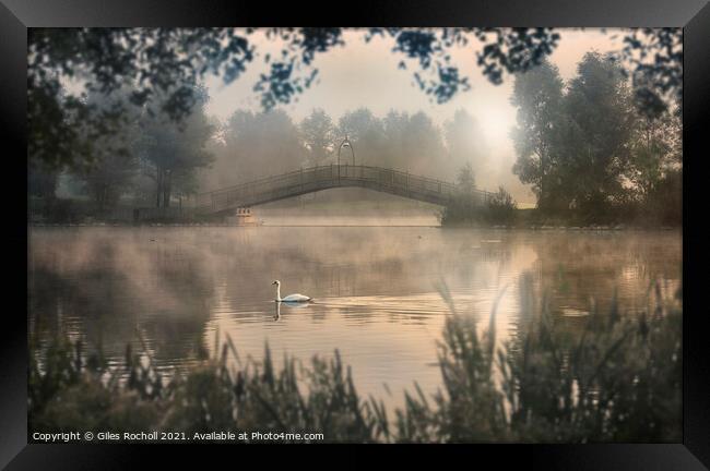 Swan lake Yorkshire Framed Print by Giles Rocholl