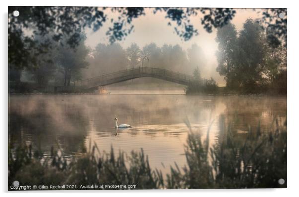 Swan lake Yorkshire Acrylic by Giles Rocholl