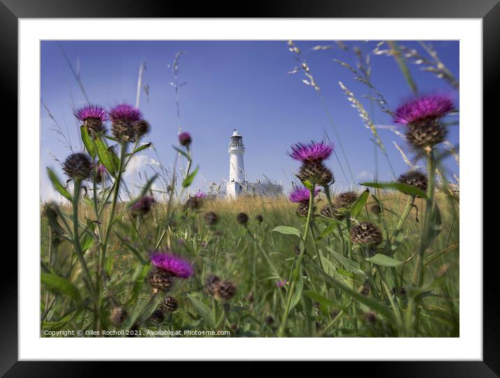 Flamborough Head Lighthouse Framed Mounted Print by Giles Rocholl