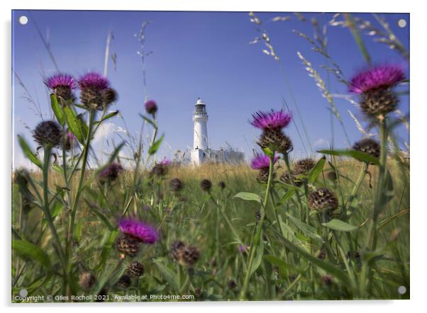 Flamborough Head Lighthouse Acrylic by Giles Rocholl
