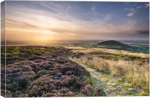 Heather at Sunset Above Swainby Canvas Print by Richard Burdon