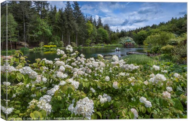 Himalayan Gardens Yorkshire Canvas Print by Giles Rocholl