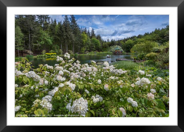 Himalayan Gardens Yorkshire Framed Mounted Print by Giles Rocholl