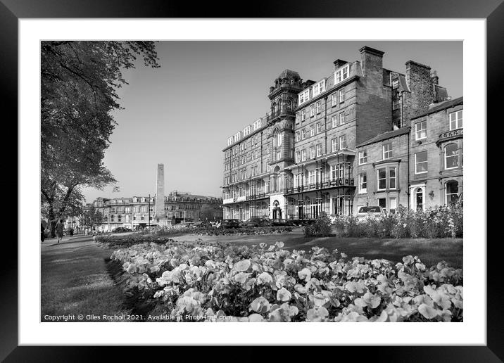 Harrogate spring flowers Yorkshire Framed Mounted Print by Giles Rocholl