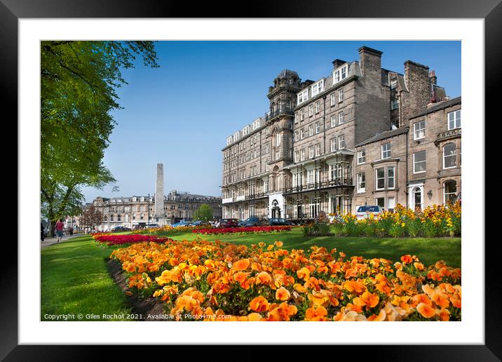 Spring flowers Harrogate Yorkshire Framed Mounted Print by Giles Rocholl