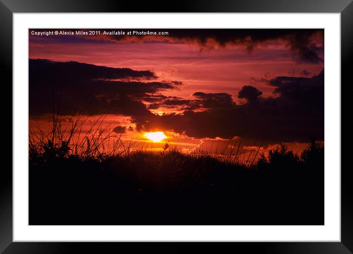 Sunset Red Framed Mounted Print by Alexia Miles