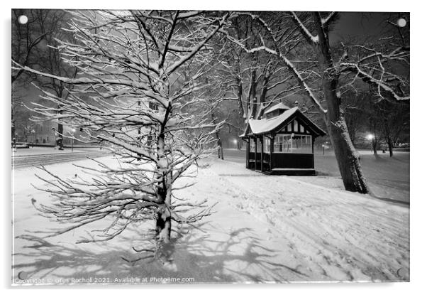 Snow the Stray Harrogate Acrylic by Giles Rocholl