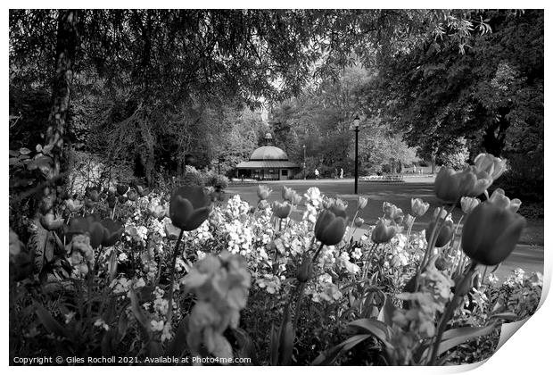 Spring flowers Valley Gardens Harrogate Print by Giles Rocholl