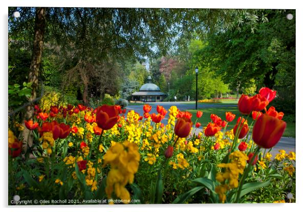 Spring flowers Valley Gardens Harrogate Acrylic by Giles Rocholl