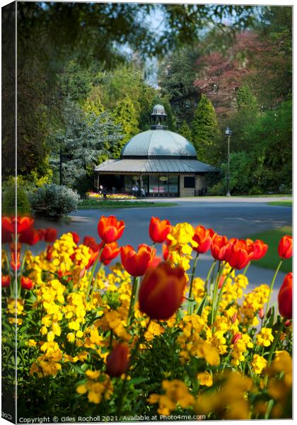 Spring flowers Valley Gardens Harrogate Canvas Print by Giles Rocholl