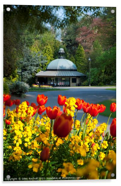 Spring flowers Valley Gardens Harrogate Acrylic by Giles Rocholl