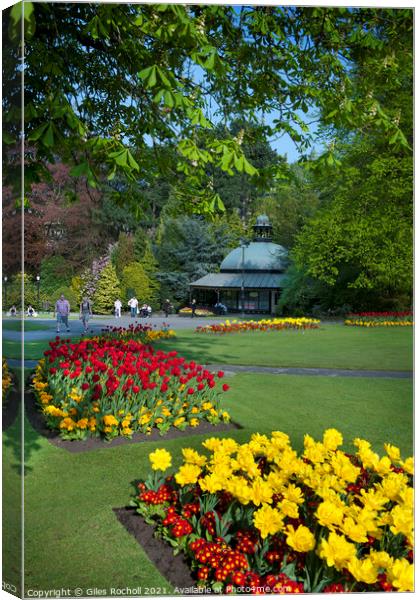 Spring flowers Valley Gardens Harrogate Canvas Print by Giles Rocholl
