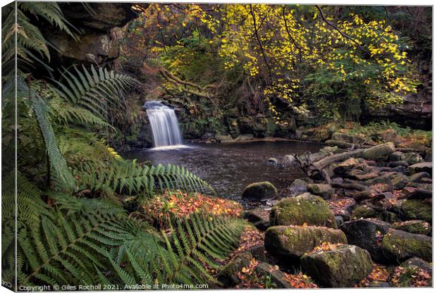 Beck Hole Waterfall Yorkshire Dales Canvas Print by Giles Rocholl