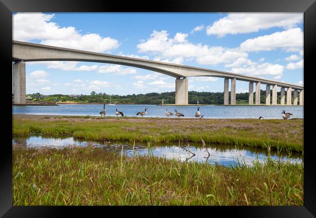 Orwell Bridge Spanning the Orwell River Framed Print by Kevin Snelling