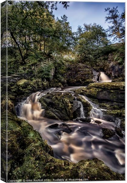 Ingleton waterfalls Yorkshire Canvas Print by Giles Rocholl