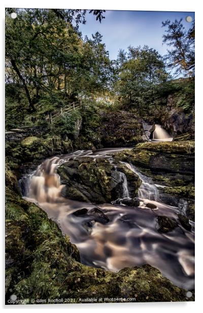 Ingleton waterfalls Yorkshire Acrylic by Giles Rocholl