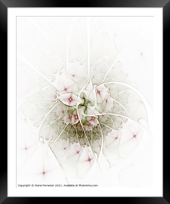Pink Petals Abstract Art, Fractal Art Framed Mounted Print by Maria Forrester