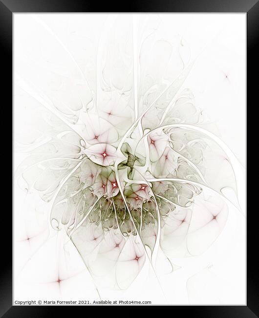Pink Petals Abstract Art, Fractal Art Framed Print by Maria Forrester