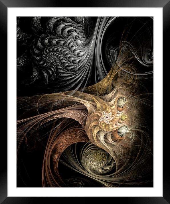 Liqourice Gold, Abstract, Fractal Art Framed Mounted Print by Maria Forrester