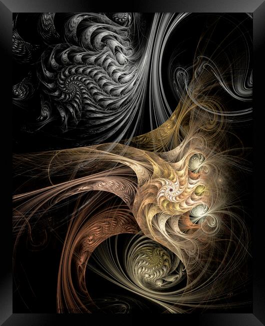 Liqourice Gold, Abstract, Fractal Art Framed Print by Maria Forrester
