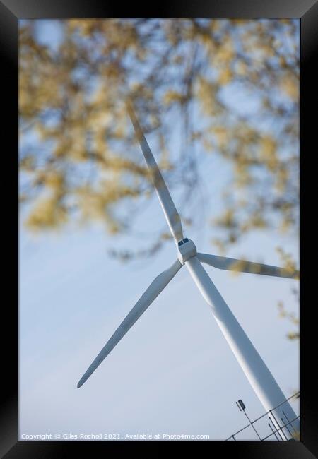 Wind turbine and tree foliage Framed Print by Giles Rocholl