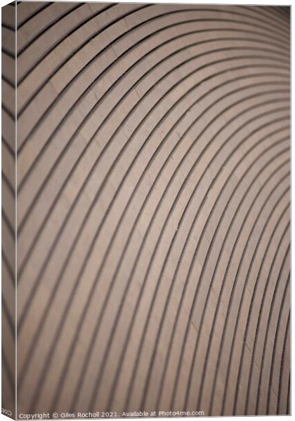 Wood curves abstract art Canvas Print by Giles Rocholl