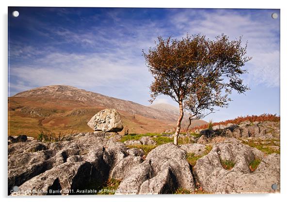 Tree amongst Limescale Rocks Acrylic by John Barrie