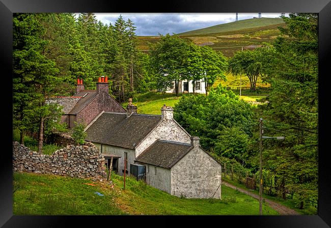 Cottages in the Trees Framed Print by Tom Gomez