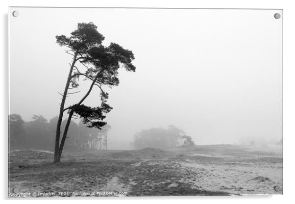 Misty Day, Wekeromse Sand, Netherlands, Mono Acrylic by Imladris 