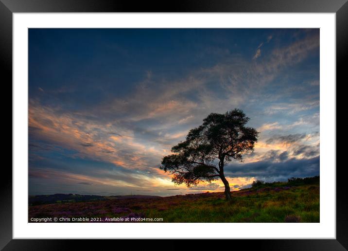 Lawrence Field at sunset Framed Mounted Print by Chris Drabble