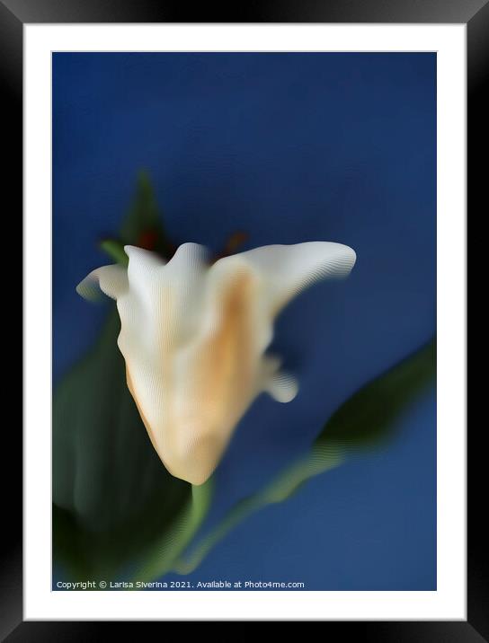 Plant flower Framed Mounted Print by Larisa Siverina