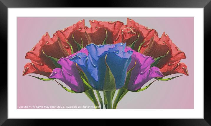 Roses Sketch Style Wall Art Framed Mounted Print by Kevin Maughan