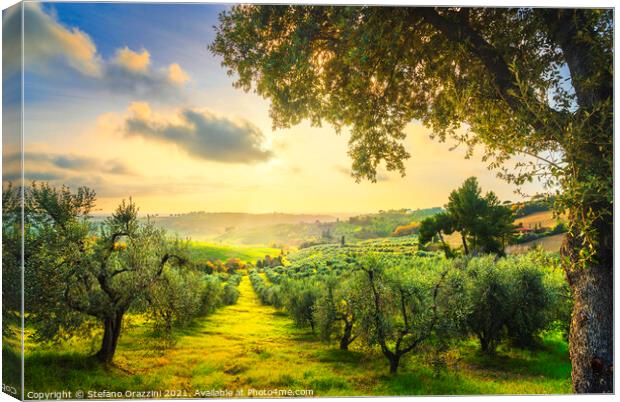 Maremma panorama and olive trees at sunset. Canvas Print by Stefano Orazzini