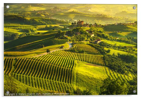 Langhe vineyards and Grinzane Cavour castle Acrylic by Stefano Orazzini