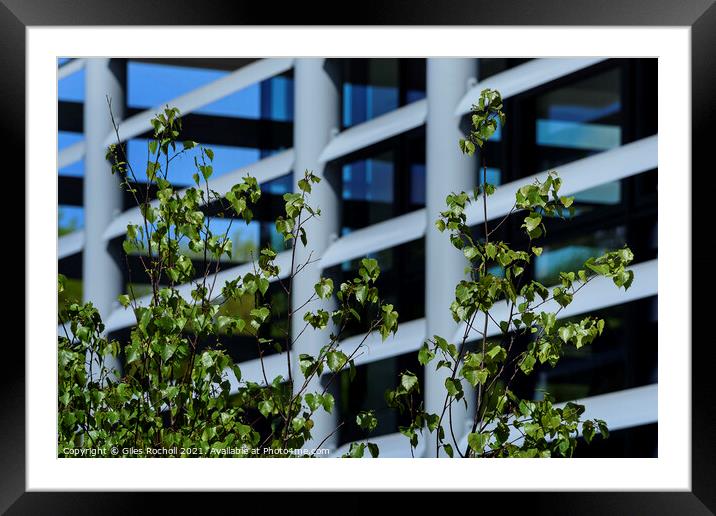 Modern abstract art windows and foliage Framed Mounted Print by Giles Rocholl