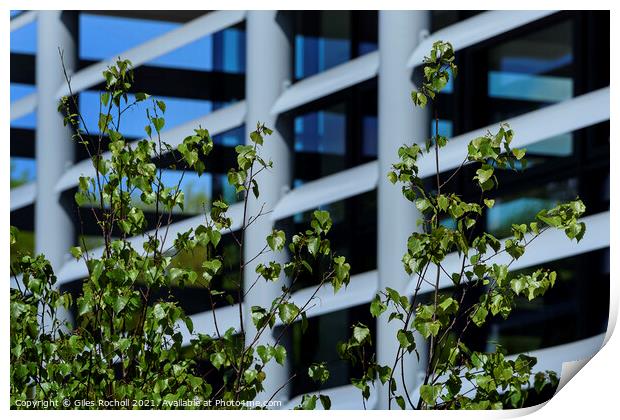 Modern abstract art windows and foliage Print by Giles Rocholl
